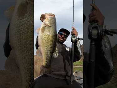Big Bass Love This Lure!