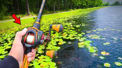 FROG Fishing PADS in Clear Pond! (Bank Fishing)