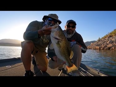 BIG Bass at Bartlett Lake!