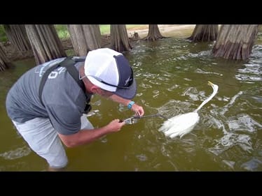 RESCUING a Bird From NEAR DEATH - Road to the Classic Ep. 11 Sam Rayburn