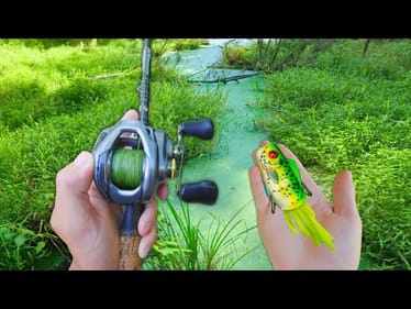 Fishing For 10+ lb BASS In FROG Fishing HEAVEN! (PB Bass)
