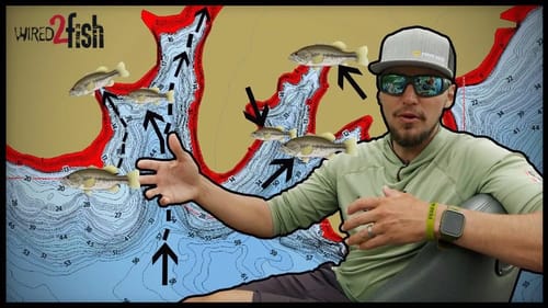 How to Find Bass in the Spring | Prespawn Through Post-Spawn