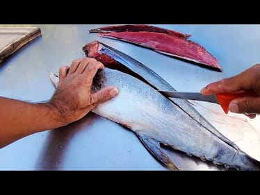 How To Fillet Tuna - From Start To Finish