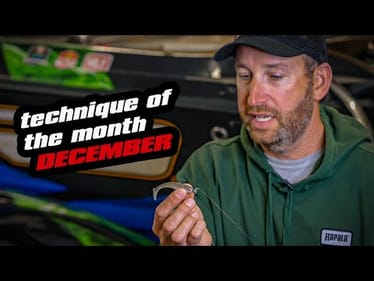 Technique Of The Month | December | Fishing The Bait