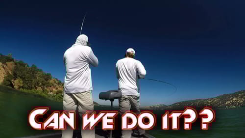 50 Fish Challenge!! How Many Could You Catch?