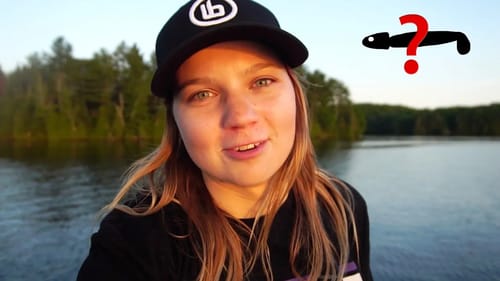 Offshore Bass on Swimbaits - Evening Fun Fishing!