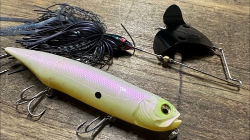The Biggest Myth Surrounding Topwater Fishing In Colder Water…