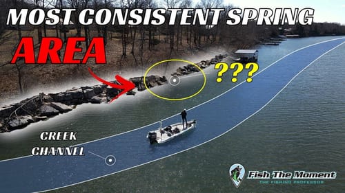 Catch Bass On EVERY Trip This Spring In This Area