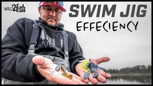 How to Choose Bass Swim Jigs and Trailers