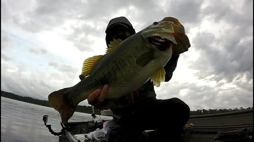 Magnum Lizards Catch Magnum Bass - Spring Bass Fishing