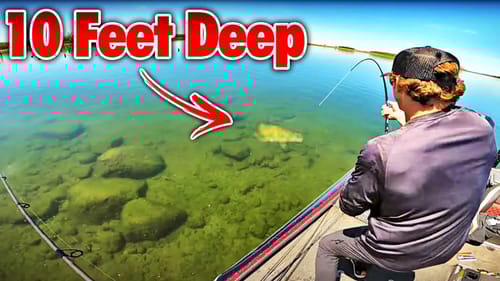 The CLEANER the Water...The BIGGER the Fish!! (Epic Bass Fishing)