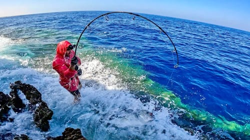 How did my Rod not Snap!