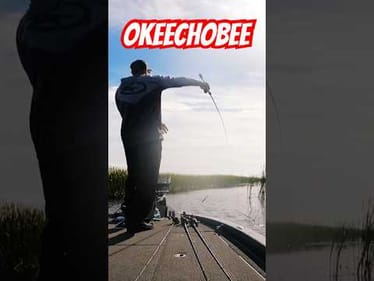 BOAT FLIP ONLY‼️ MLF Toyota Series Lake Okeechobee #shorts #bassfishing #flipping