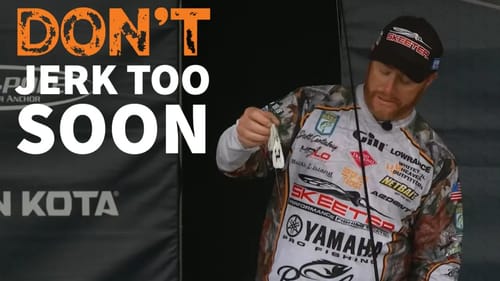 When Bass EXPLODE On Your Swim Jig