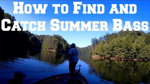 How to Find and Catch Deep Summer Bass