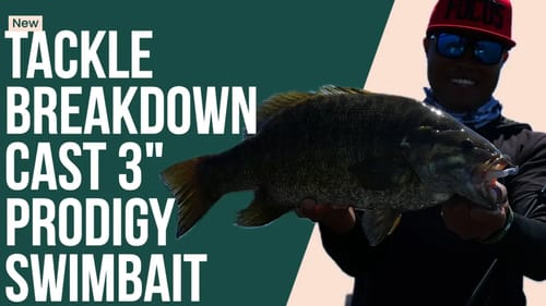 The NEWEST & Hottest Finesse Swimbait - @CastFishingCo 3" Prodigy Swimbait Tackle Breakdown