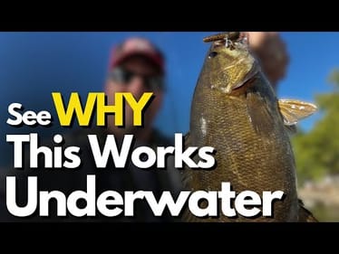 The #1 Crayfish Lure Strategy Every Bass Angler Should Try