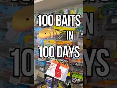 100 Baits in 100 Days - Day 6: Hideup 3 Piece Soft Plastic Bait #fishing