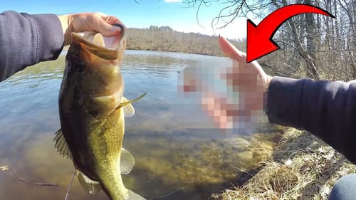 THIS Japanese Swimbait Will Catch You BIG Fish!
