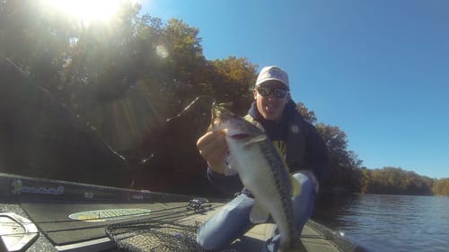 Big Bass Fishing Lake Lanier "Lanier Slam" (Mobile Version)