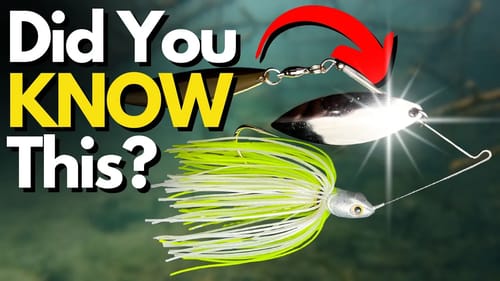 The TRUTH About What is Happening With Shiny Blades