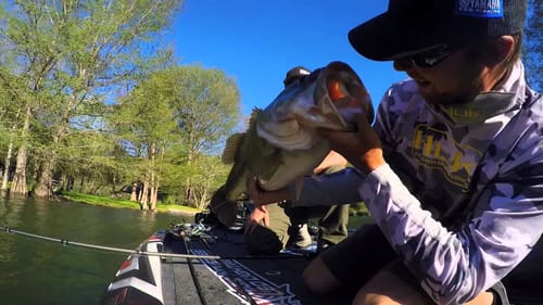 GoPro Hero4: 12lb 4oz Largemouth on a Huddelston