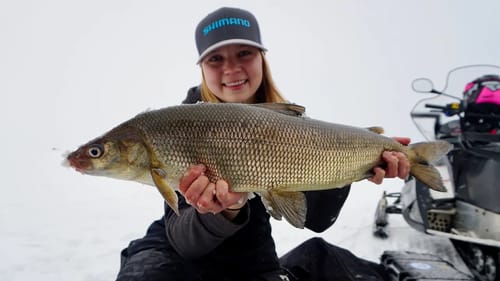 Fishing Shallow for Whitefish!! (Lake Simcoe)
