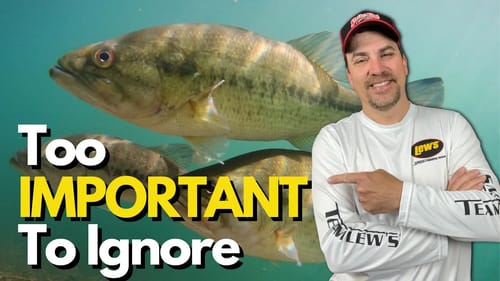 Consider THIS when Choosing Where to Start Bass Fishing