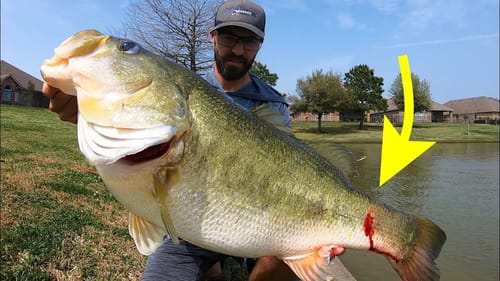 EVERY BASS ANGLERS WORST NIGHTMARE!! (Big mistake)