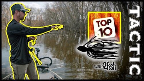 Swim Jig Bass Fishing | Master the Basics for Spring Success