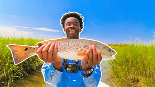 Inshore FISHING CATCH And COOK!