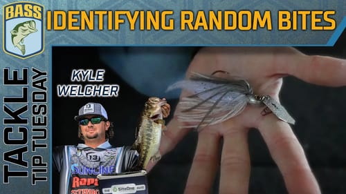Identifying the RANDOM bites in the prespawn