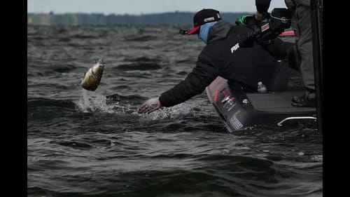 BMP Fishing: The Series | Lake St. Clair