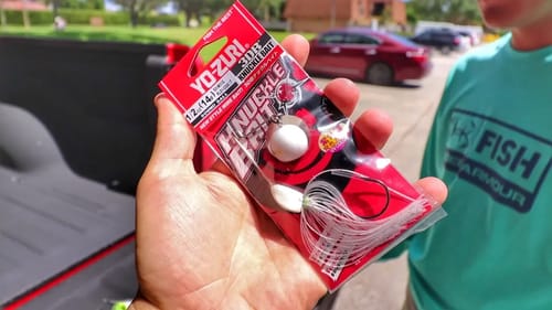 Yo-Zuri Knuckle Bait VS Regular Spinnerbait (Subscriber Requested)!