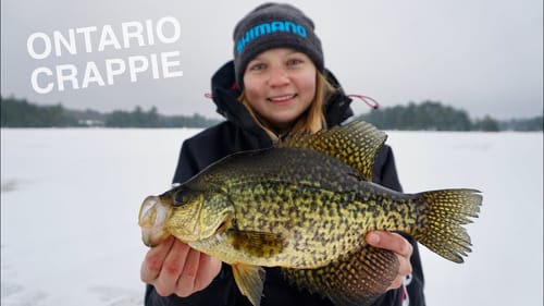 NEW Spoon Does the Trick for Crappie!