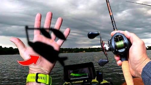 FISHING NEW Spinnerbait For ANYTHING That Bites! (Fall Fishing!)