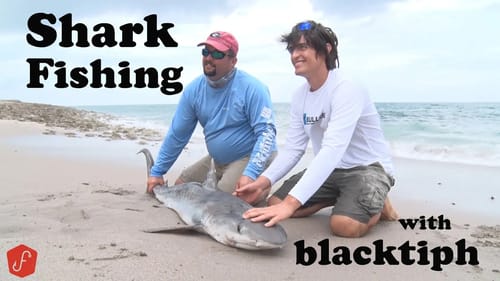 Shark Fishing with Blacktiph