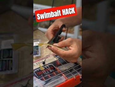 This Swimbait Mod is Straight-Up CHEATING 😳