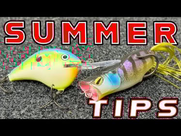 Where Do Bass Go In Summer?! (And How We Catch Them)