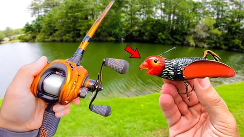 Fishing w/ a BIRD in SMALL Ponds (IT WORKED)