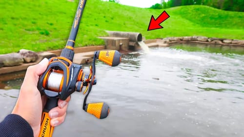 Searching for GIANT Bass in SMALL Ponds (Bank Fishing)