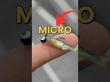 Can We Catch A Fish On This MICRO Swimbait? #fishing #fishingvideos #swimbait