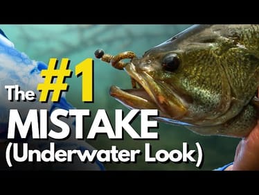 We've ALL Made This Mistake (HOW We Can DOUBLE Our Bites)
