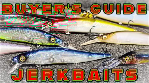 BUYER'S GUIDE: JERKBAITS AND JERKBAIT RODS!
