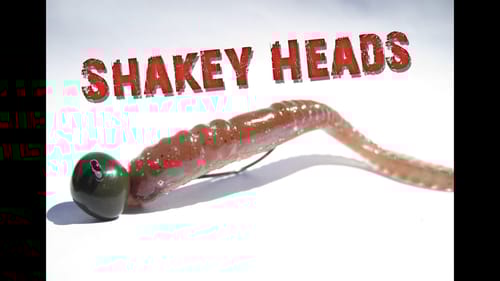 Hooking Up with Shakey Heads