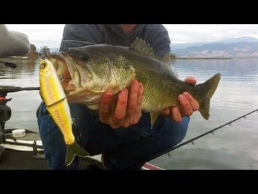 Glide Baits:  How to fish the S-Waver