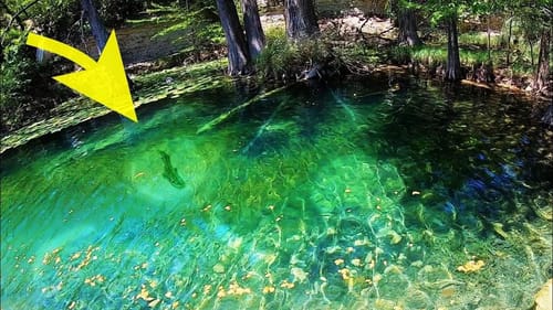 INSANE CREEK FISHING in CRYSTAL CLEAR WATER!!
