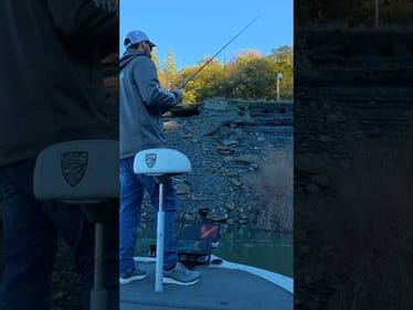 How I Fish a Senko with my Weedless Darter Head 🎣 #bassunion #bassunionjigs #bassunionguideservice