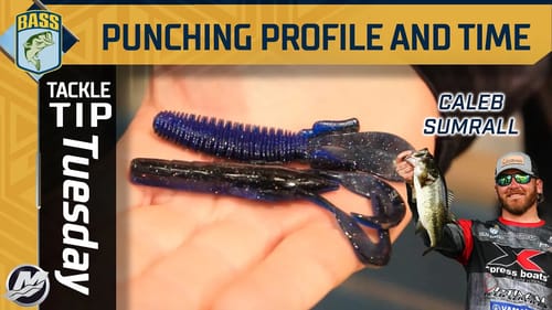Punching profiles and flip time in Winter situations