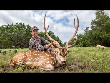 Hunting My First Axis Buck - AMAZING MEAT!